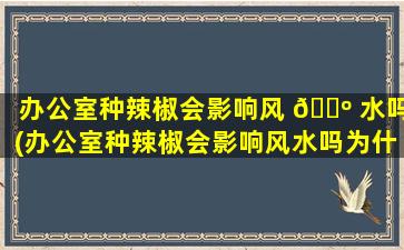 办公室种辣椒会影响风 🌺 水吗(办公室种辣椒会影响风水吗为什么)
